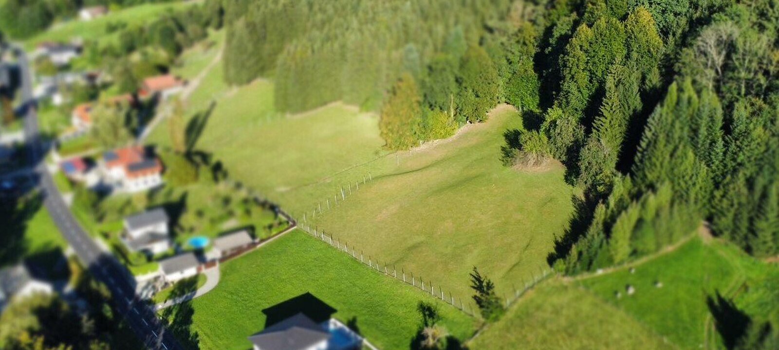 Drohnenfoto Baugrund Wiese - Wald