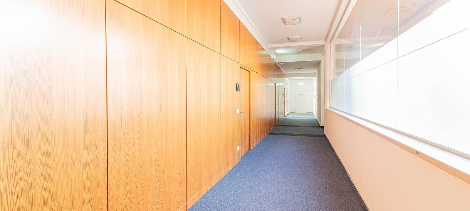 modern gestalteter Büroflur mit Glasabtrennung modern gestalteter Büroflur mit Glasabtrennung