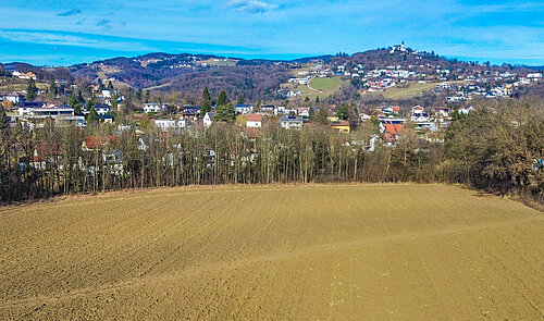 DJI_0516