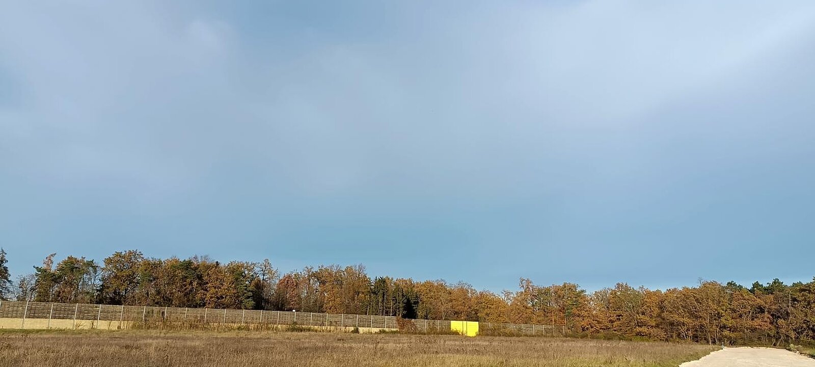 IMG_20221107_150105 IMG_20221107_150105