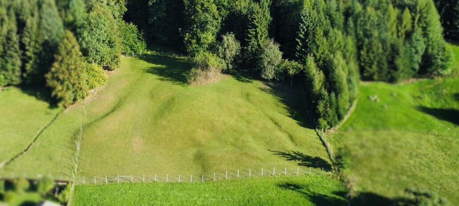 Drohnenfoto Baugrund Wiese - Wald Drohnenfoto Baugrund Wiese - Wald