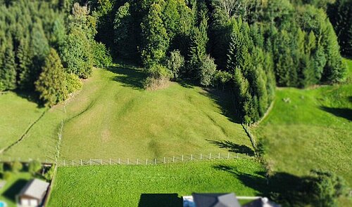 Drohnenfoto Baugrund Wiese - Wald