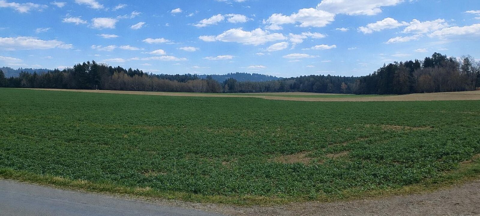 Liegenschaft St. Willibald (1) Liegenschaft St. Willibald (1)