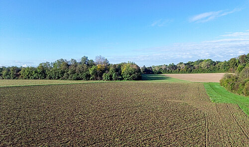 DJI_0535