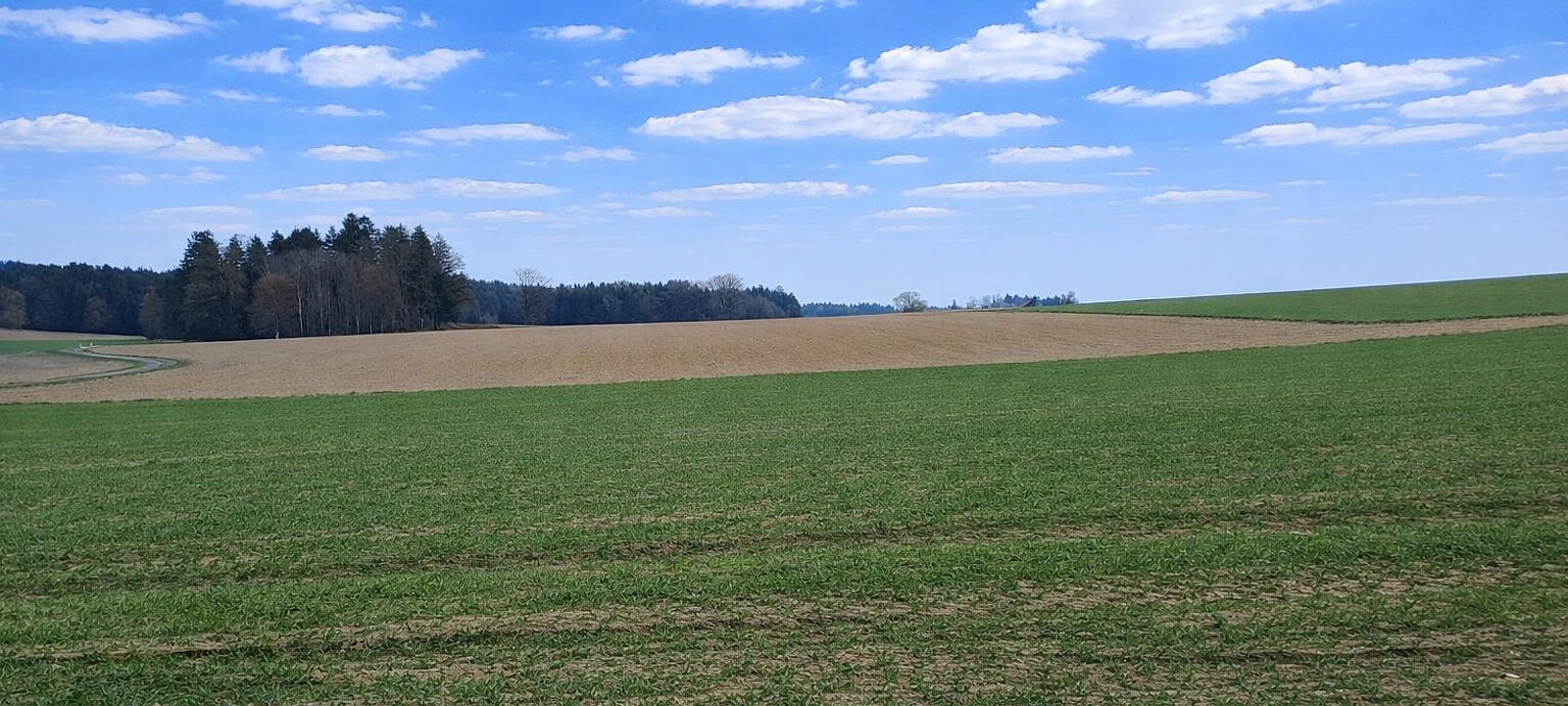 Liegenschaft St. Willibald (4) Liegenschaft St. Willibald (4)