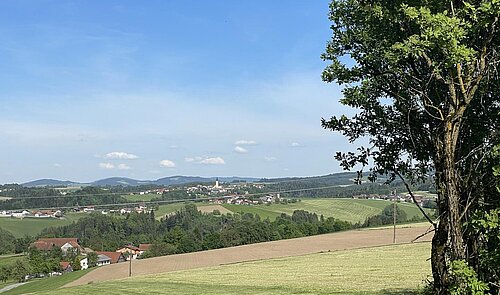 IMG_9198