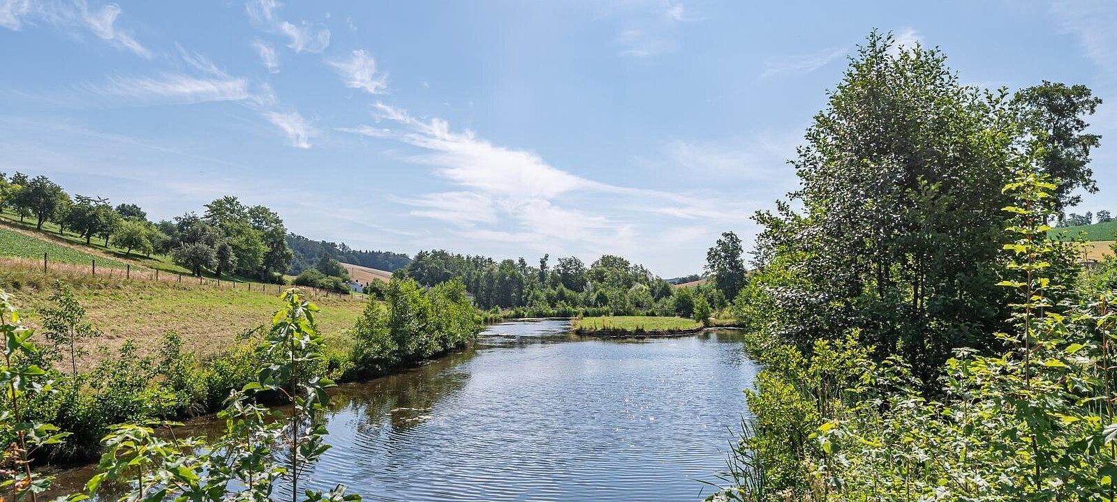 Teich