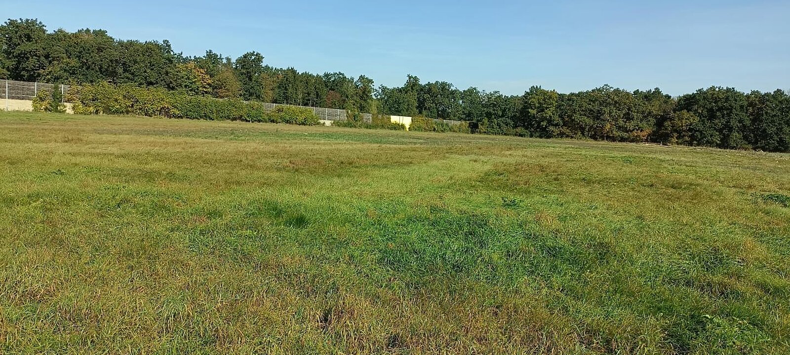 IMG_20231011_135408 IMG_20231011_135408