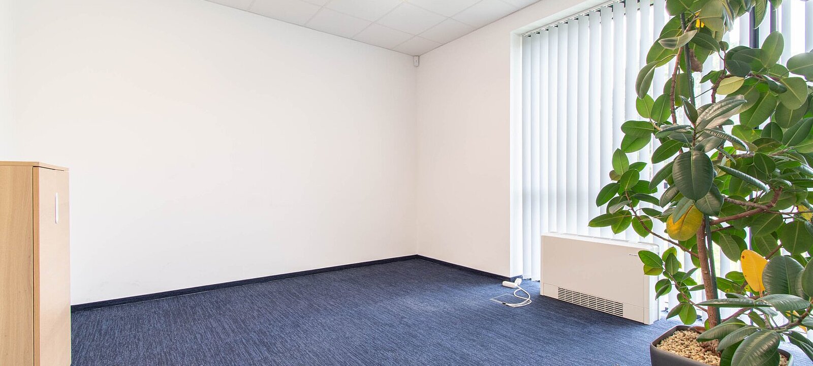 Büro EG