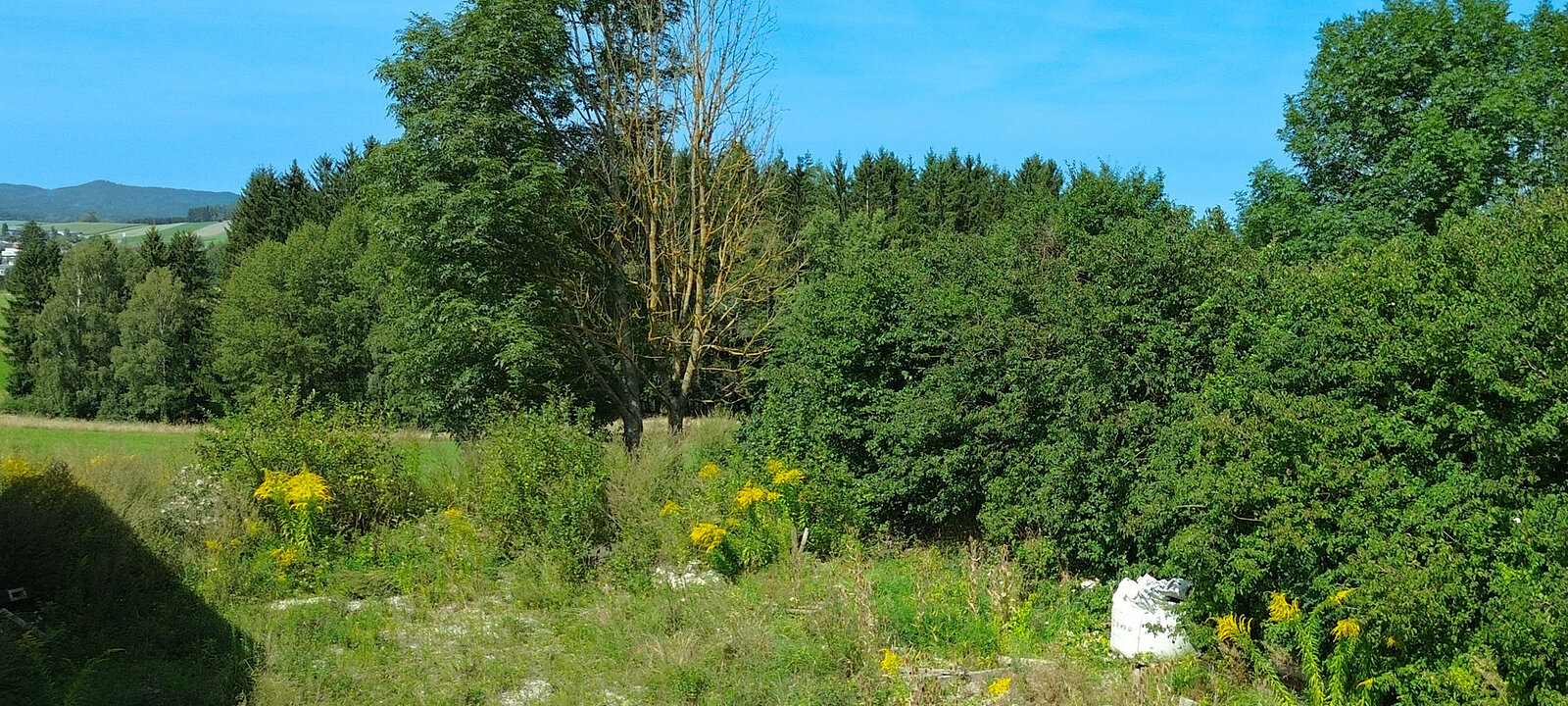 Freifläche hinter den Lagerhallen