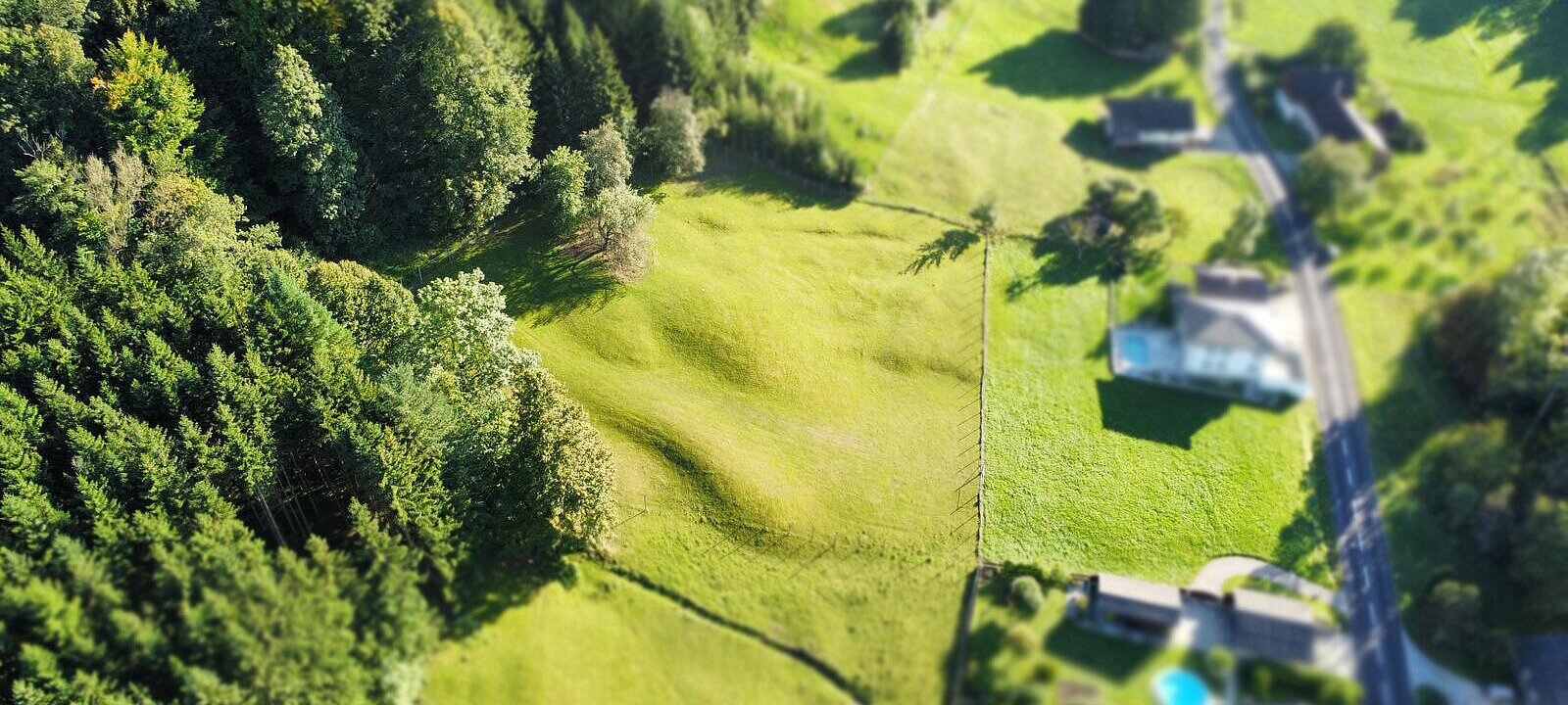 Drohnenfoto Baugrund Wiese - Wald