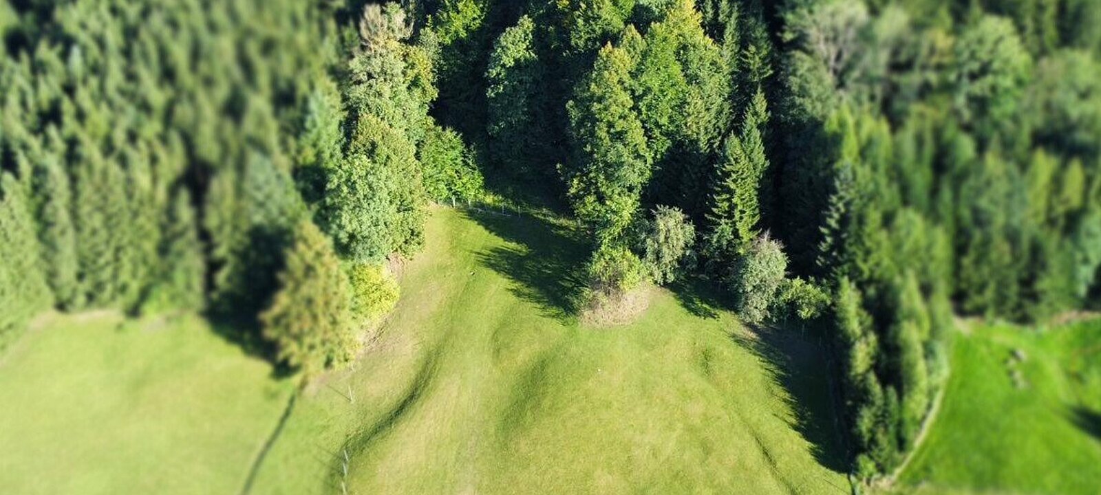 Drohnenfoto Baugrund - Wald