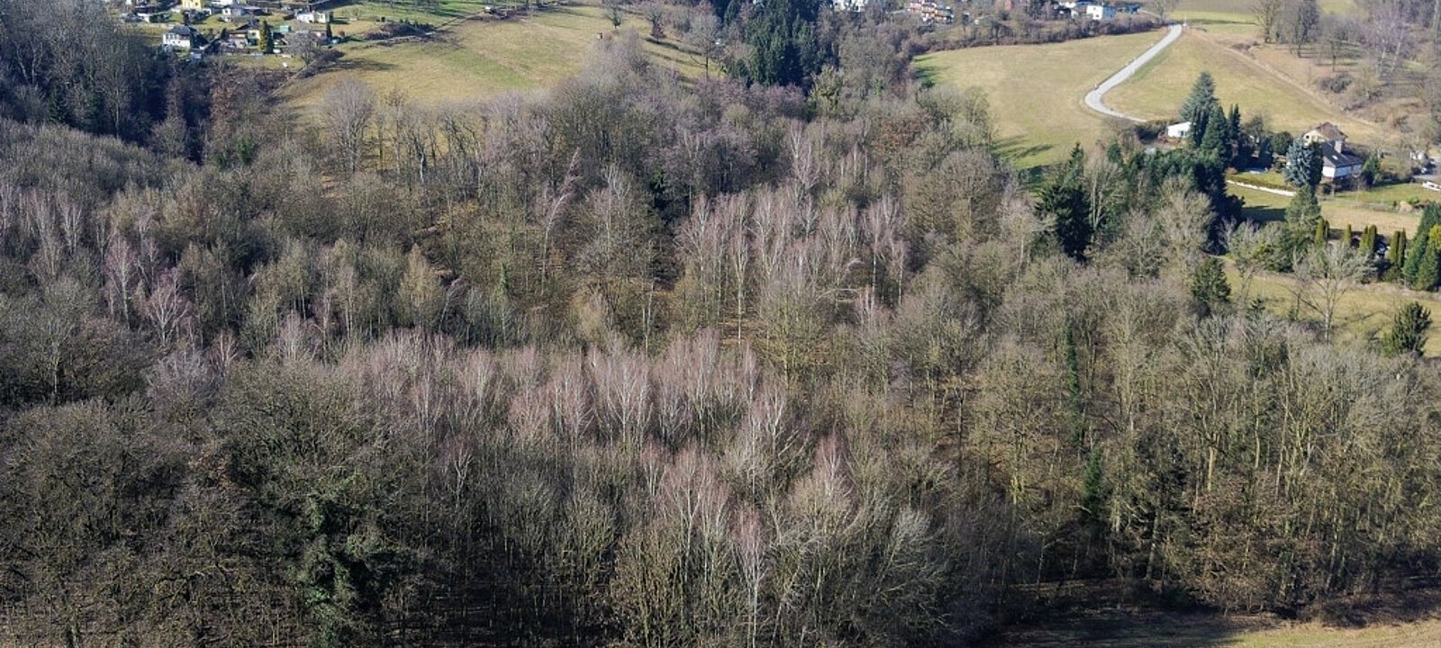 DJI_0524 DJI_0524