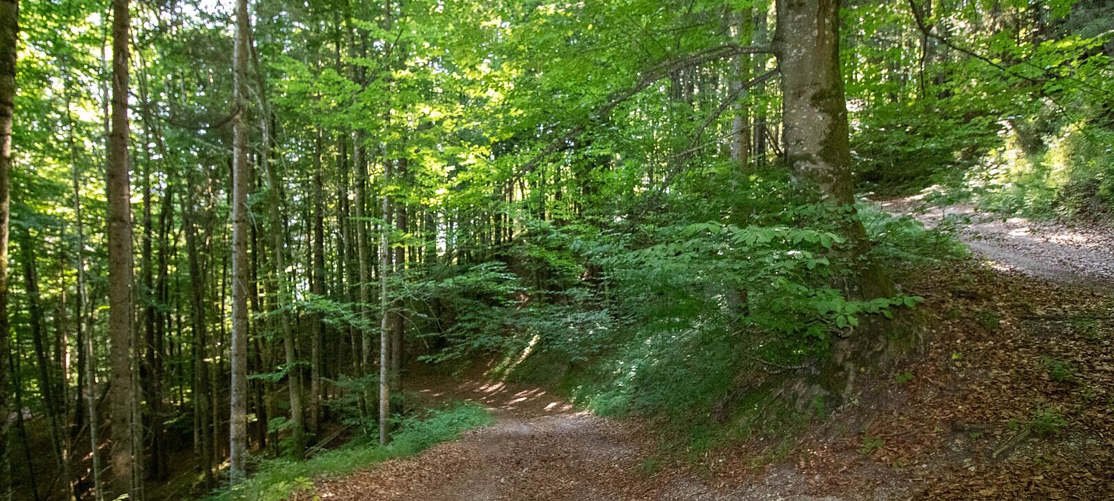 naturnaher Rückzugsort