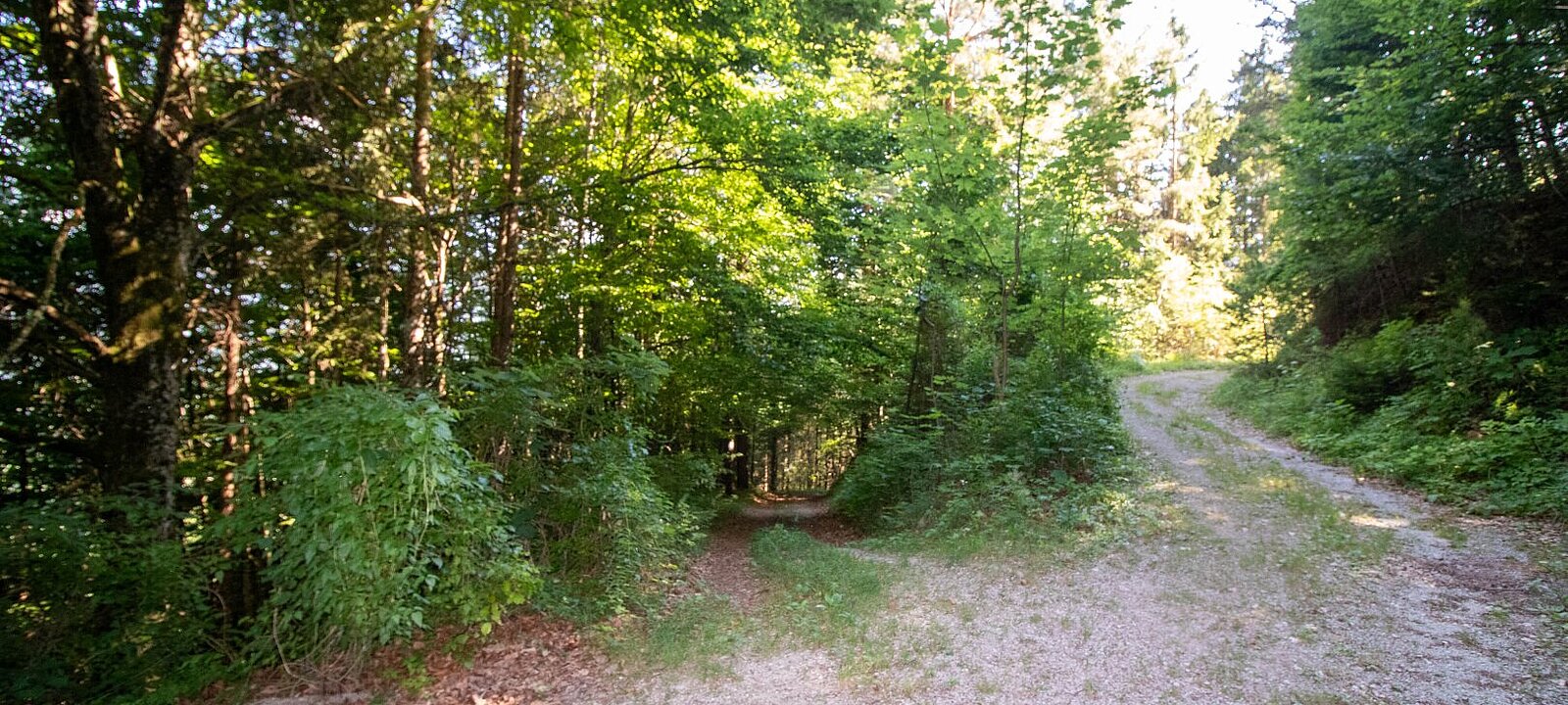 komfortabler Zufahrt