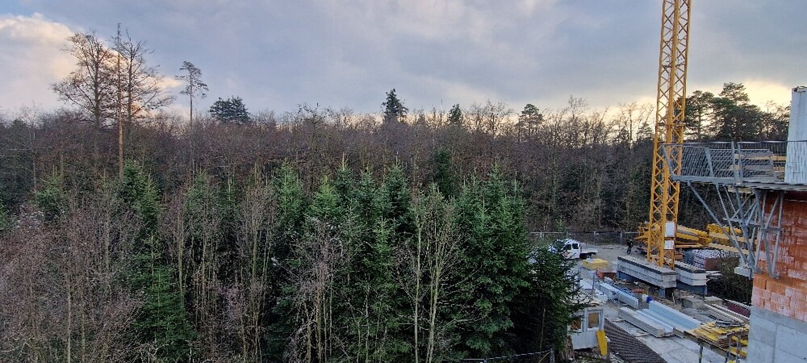 Aussicht Bischofswald