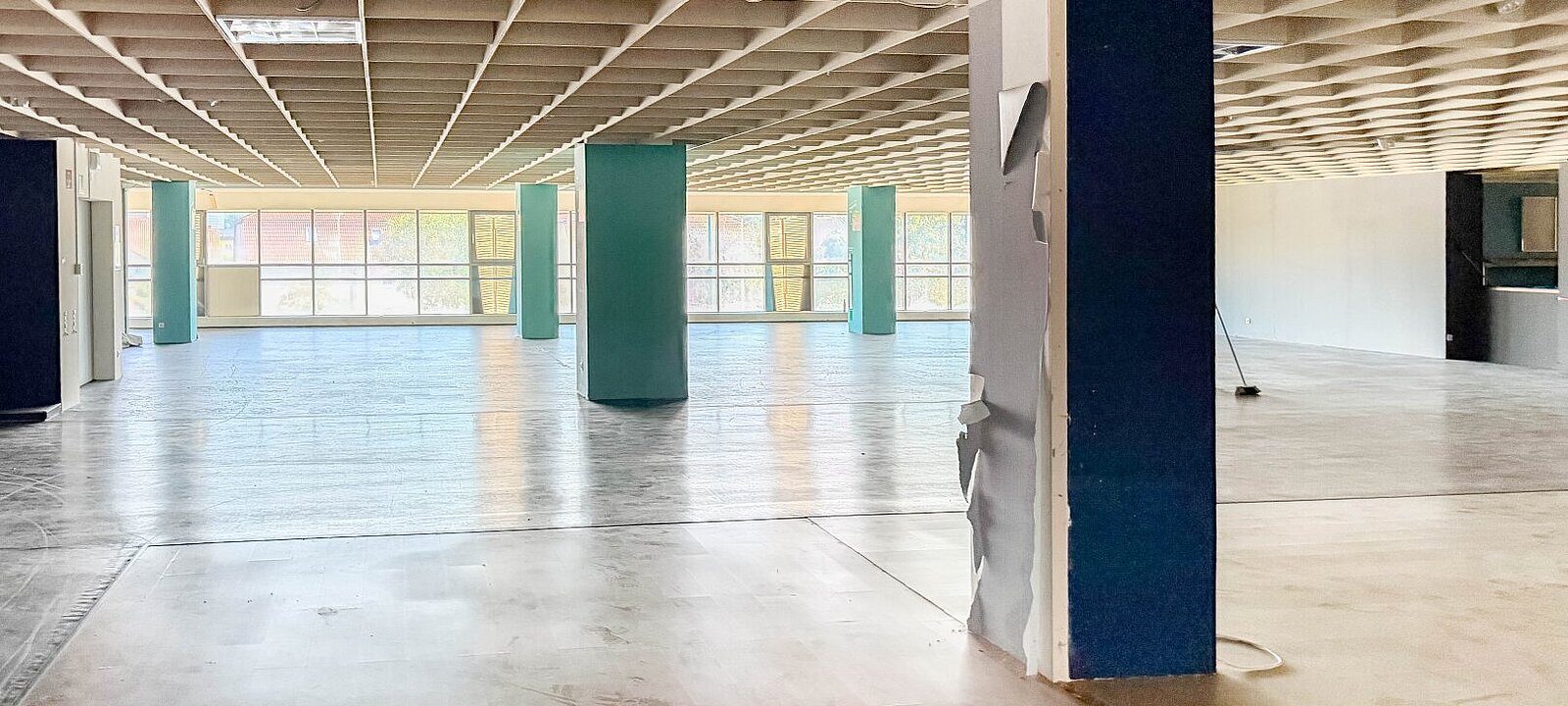VII