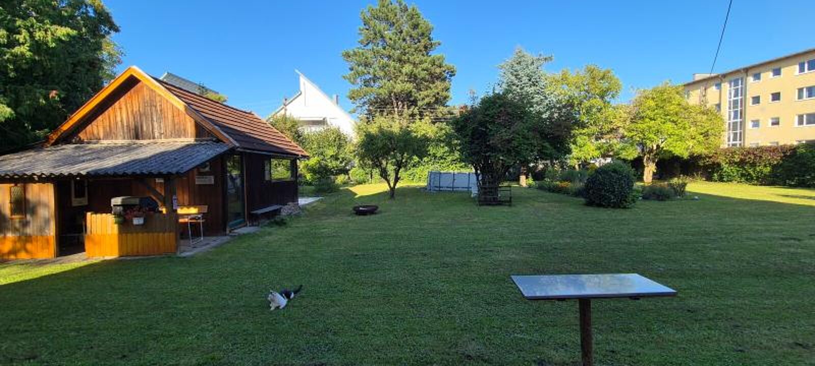 20250812_180019.jpg 20250812_180019.jpg