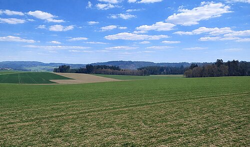 Liegenschaft St. Willibald (3)