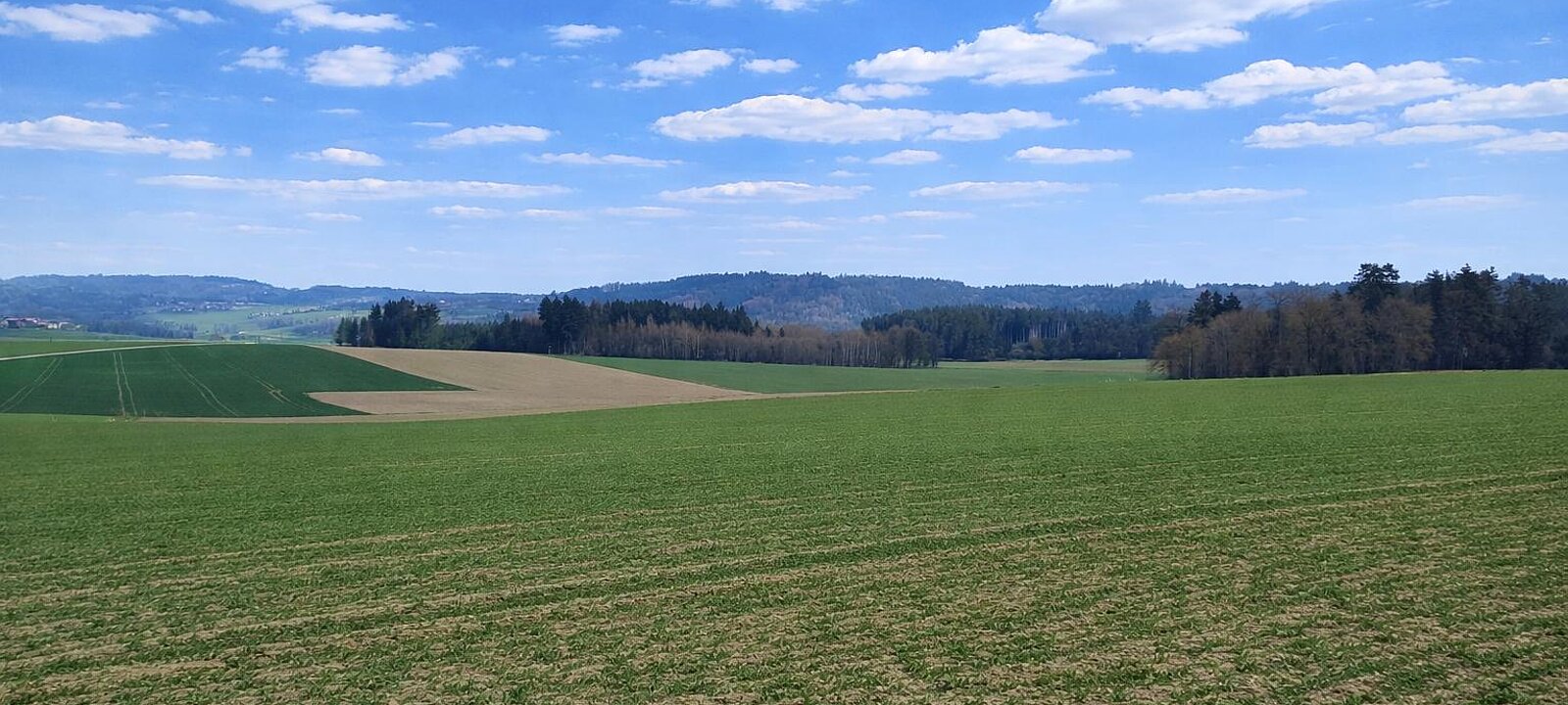 Liegenschaft St. Willibald (3) Liegenschaft St. Willibald (3)