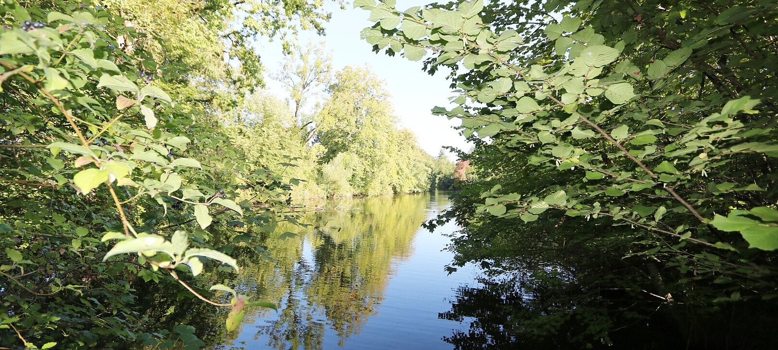eigener Teich