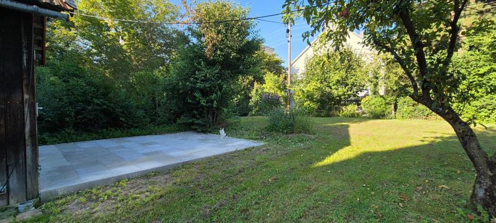 20250812_180311.jpg 20250812_180311.jpg