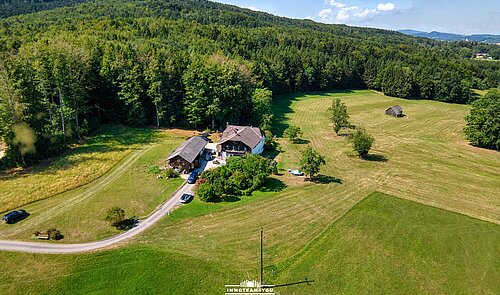 Blick auf das Haus DJI_0443