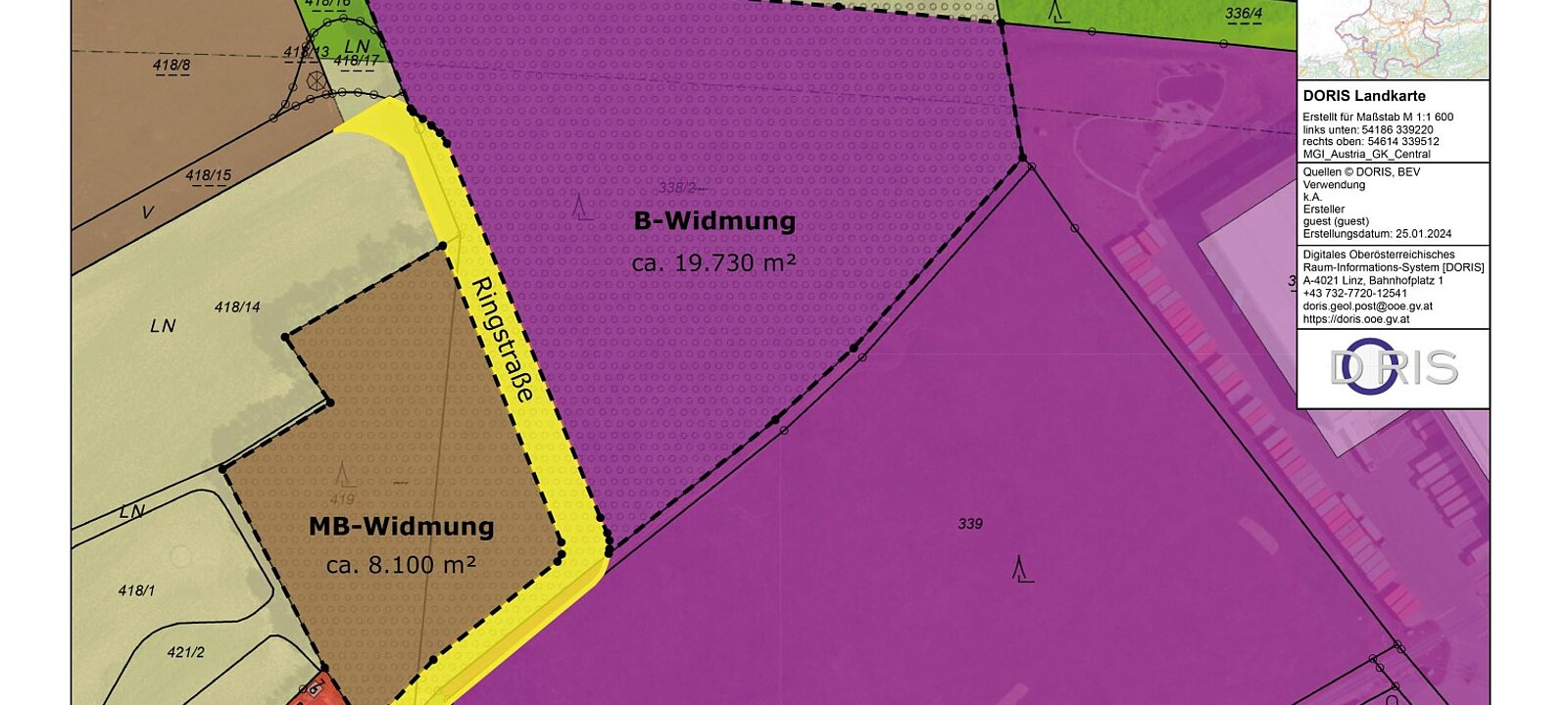 ca. Widmungen, Ringstraße, Straßenbegleitgrün