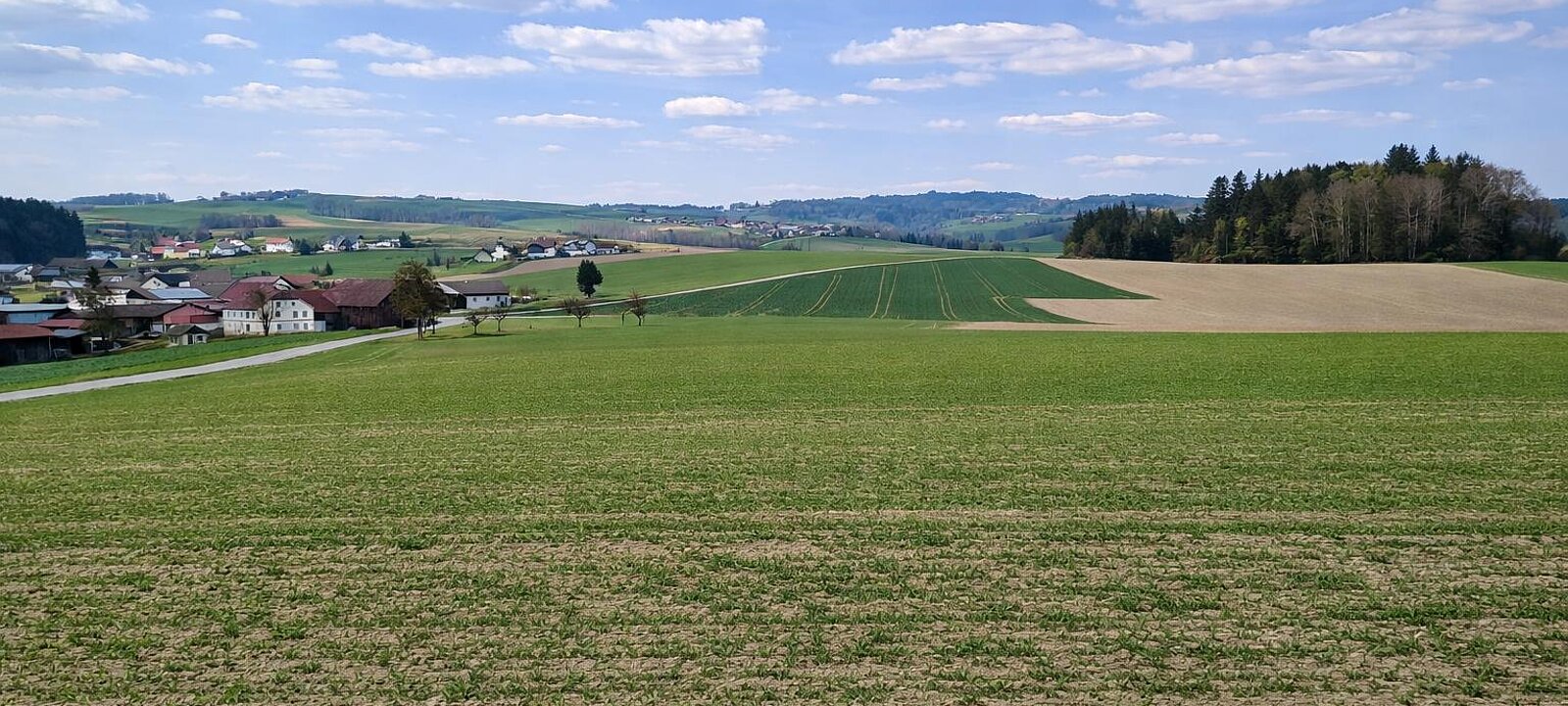 Liegenschaft St. Willibald (13) Liegenschaft St. Willibald (13)