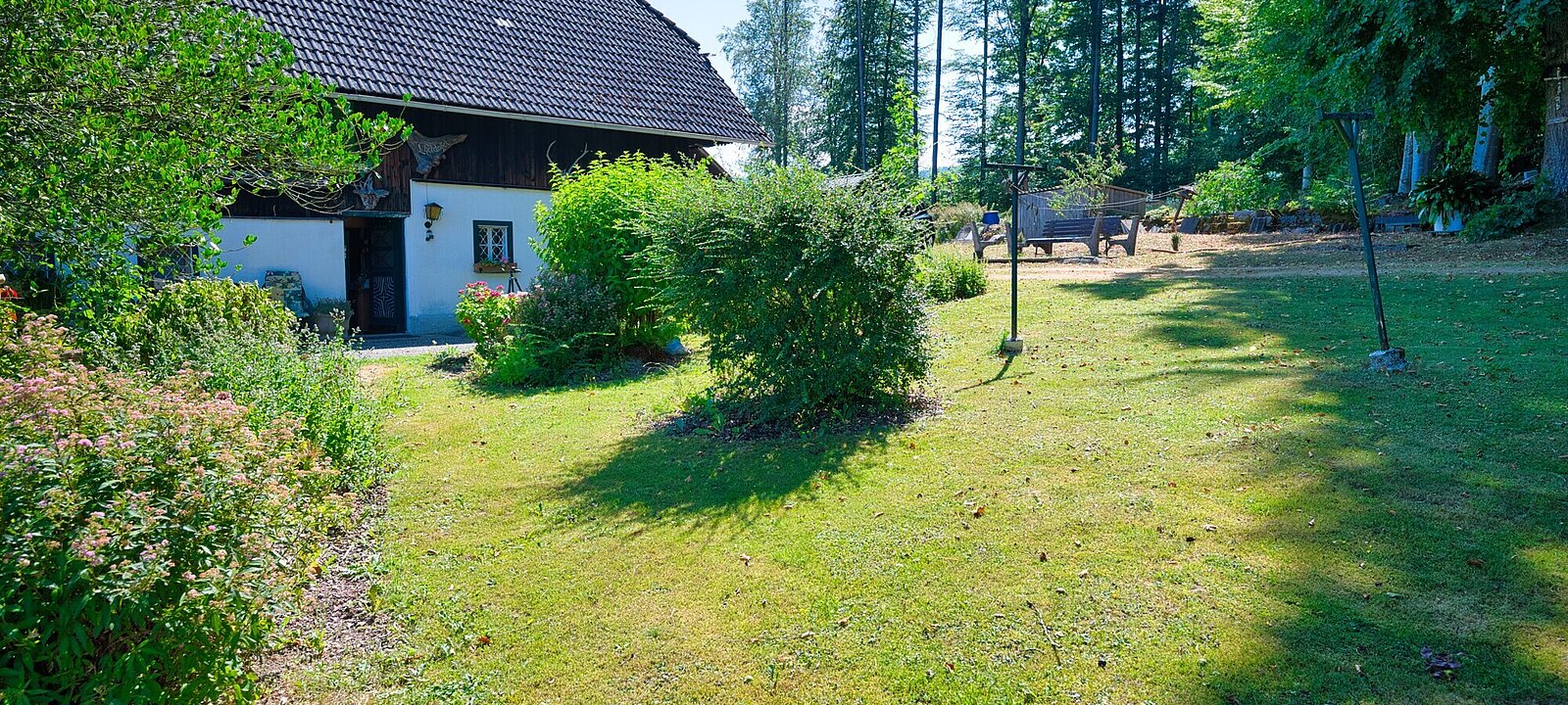 Blick zum Haus DSC_8759