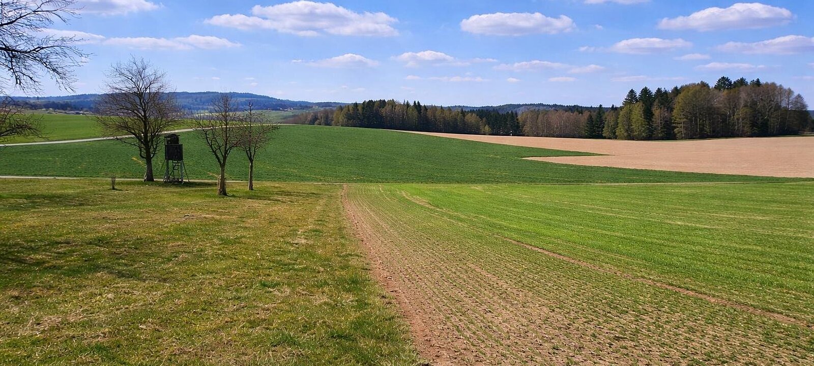 Liegenschaft St. Willibald (11)