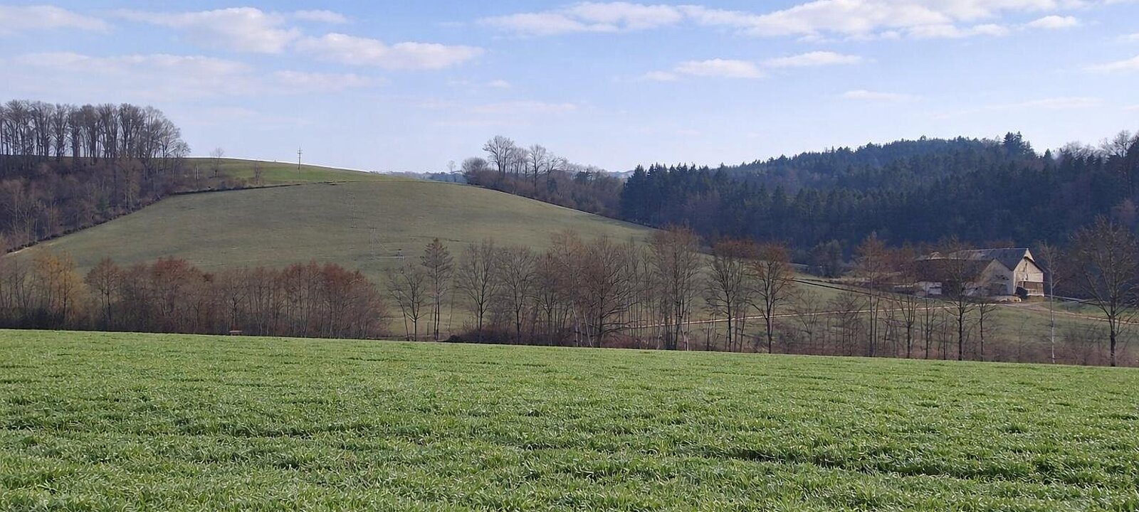 landw. Grundstück (1) landw. Grundstück (1)