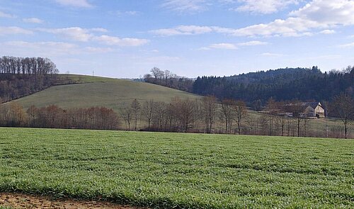 landw. Grundstück (1)