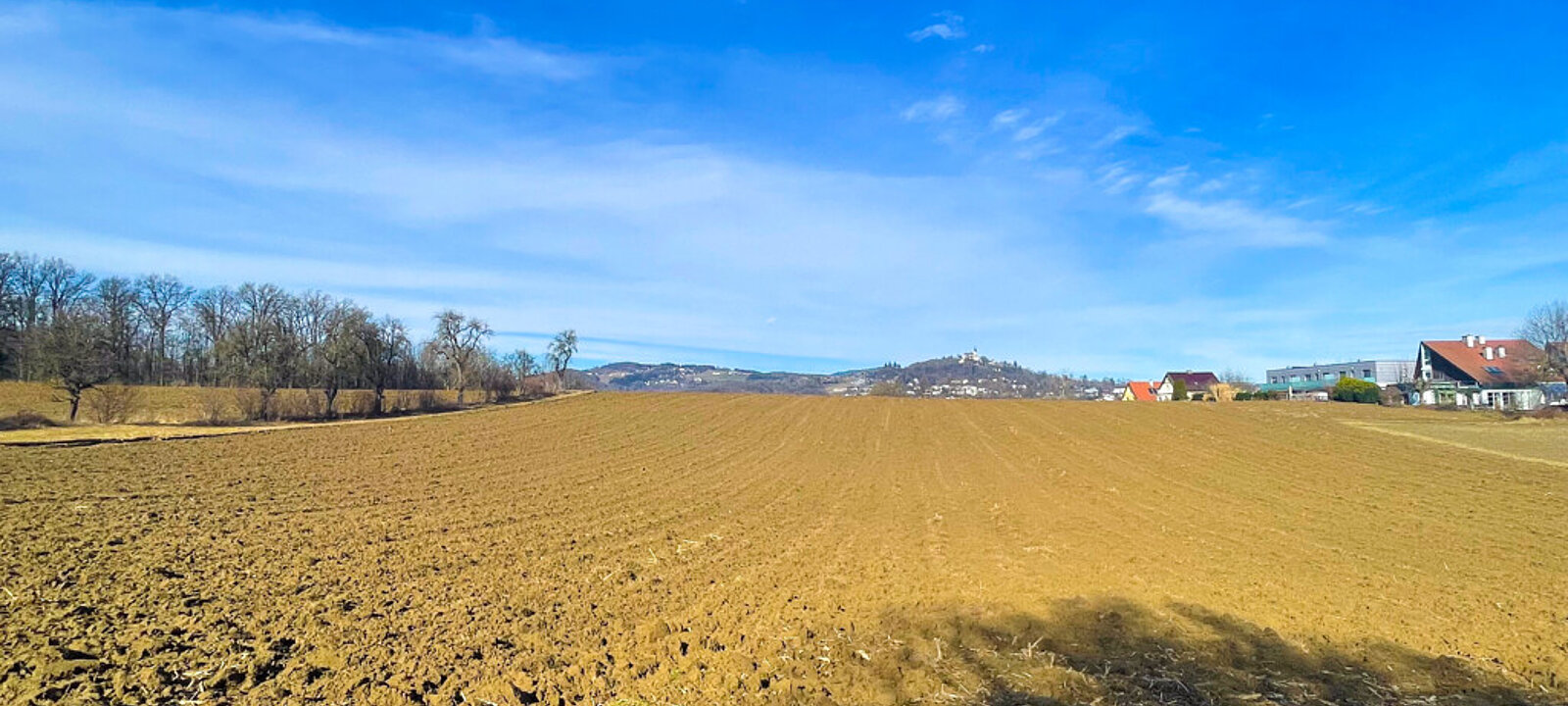 20260212_115851372_iOS