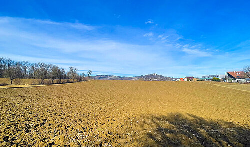 20260212_115851372_iOS