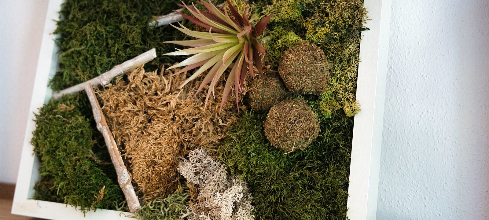 Deko DSC_3068 Deko DSC_3068