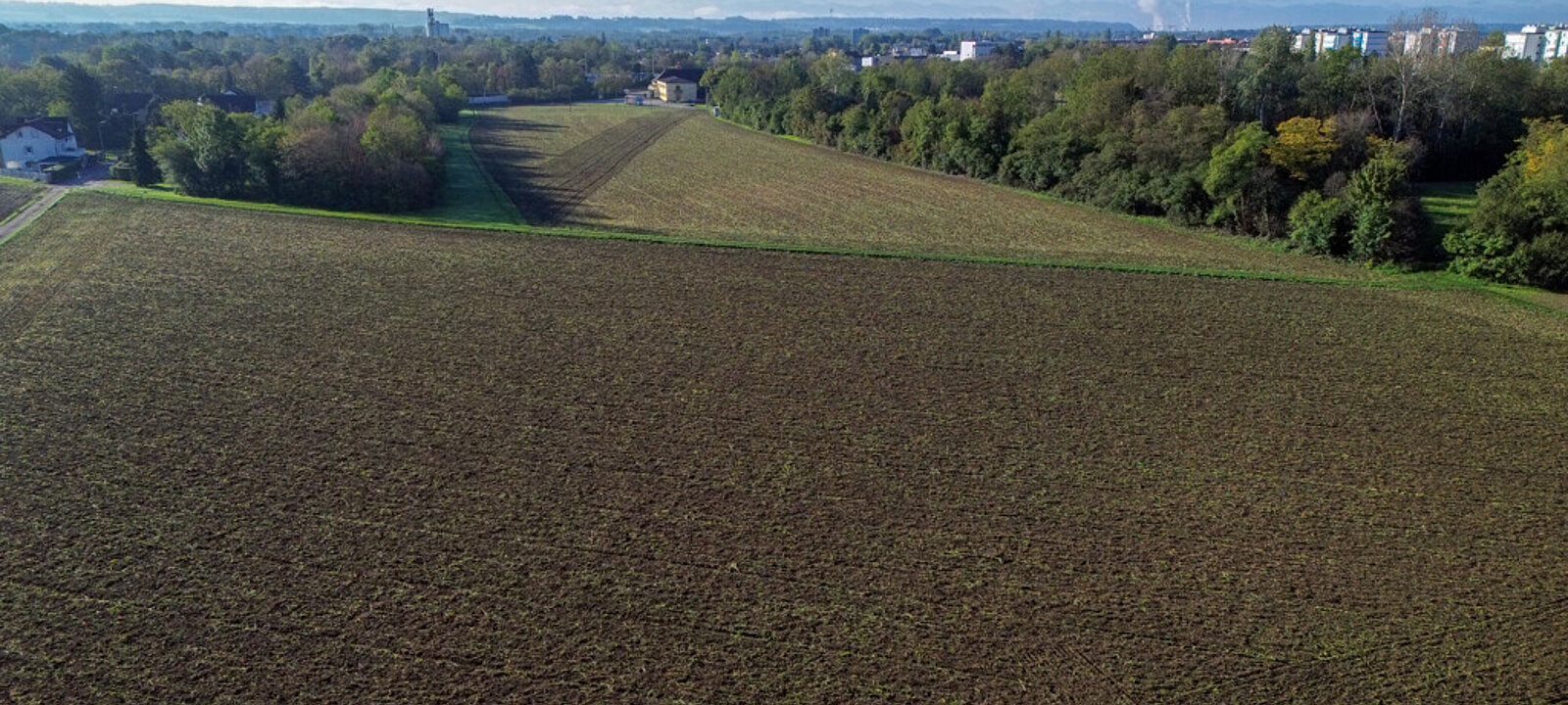 DJI_0536 DJI_0536