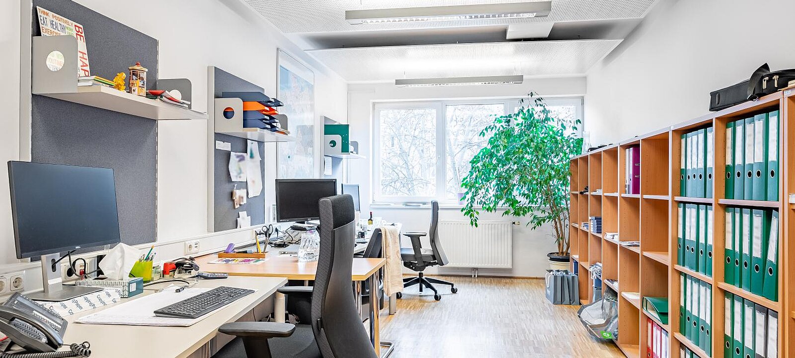 Office Office