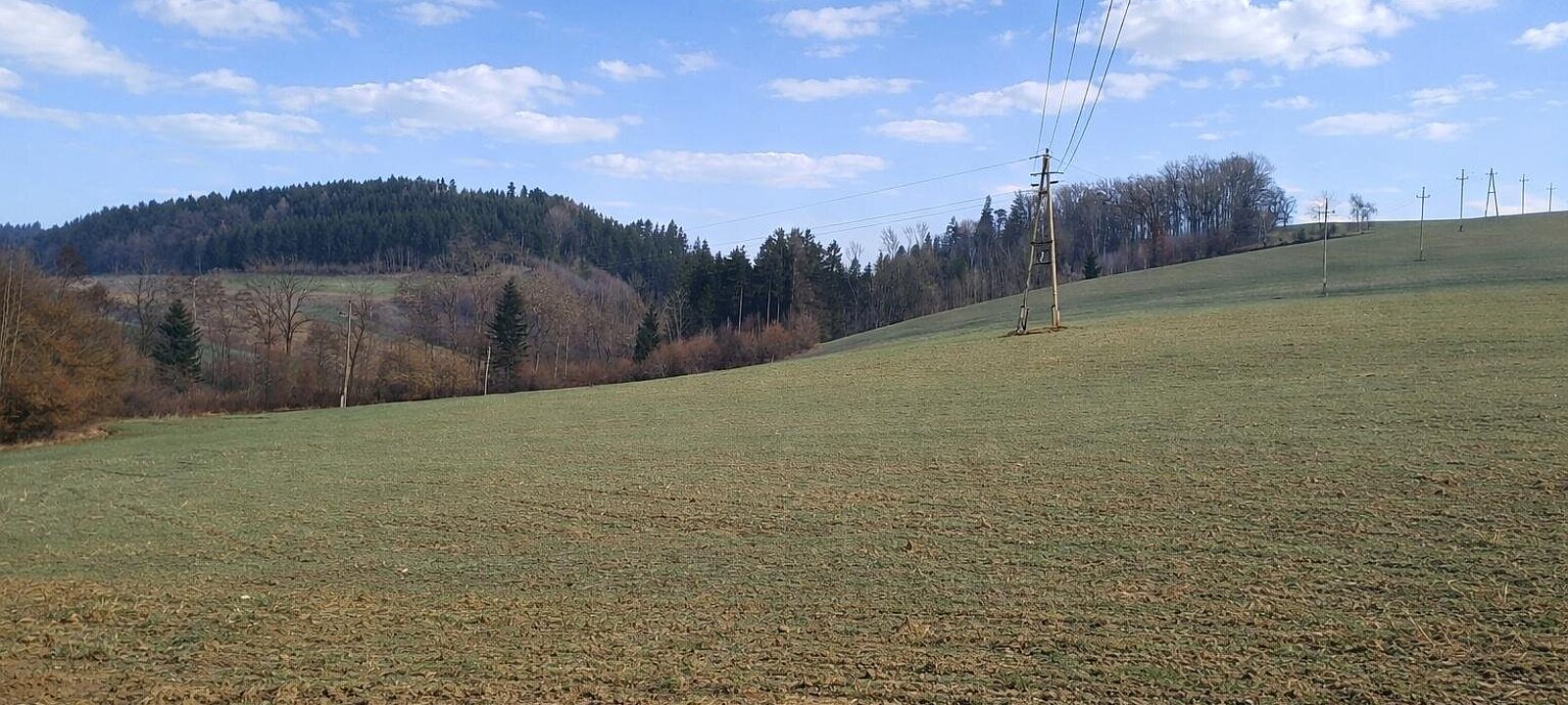 landw. Grundstück (2) landw. Grundstück (2)