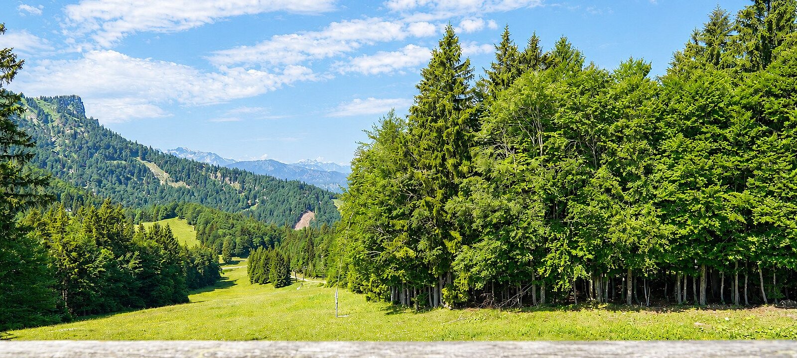 Ausblick Ausblick
