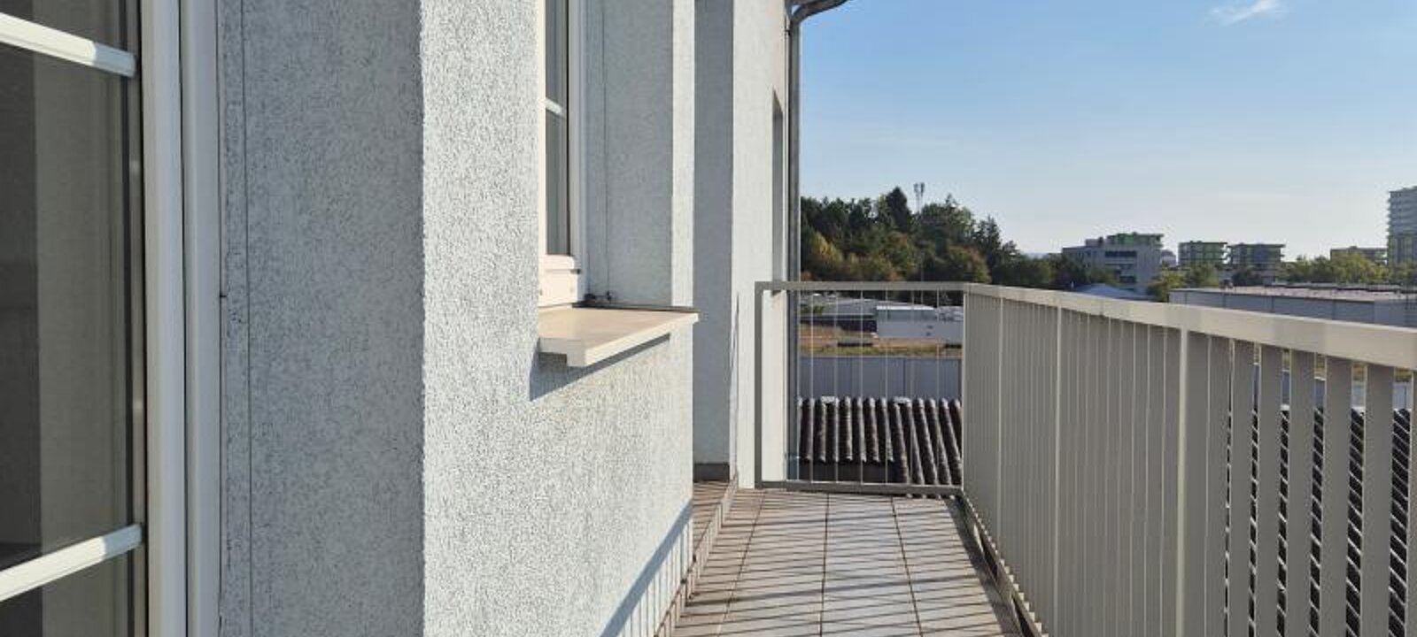 20250929_101951.jpg 20250929_101951.jpg