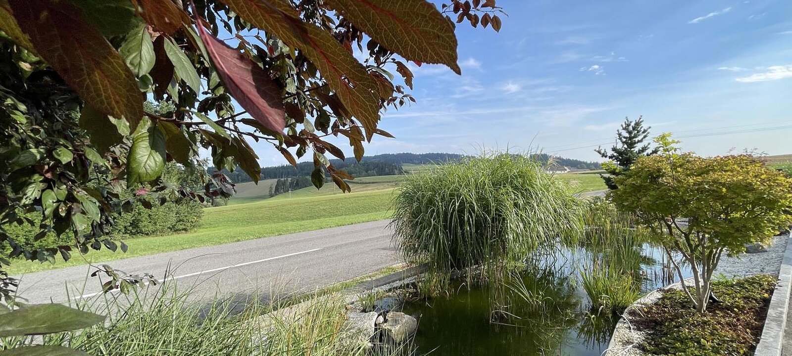 Vorgarten