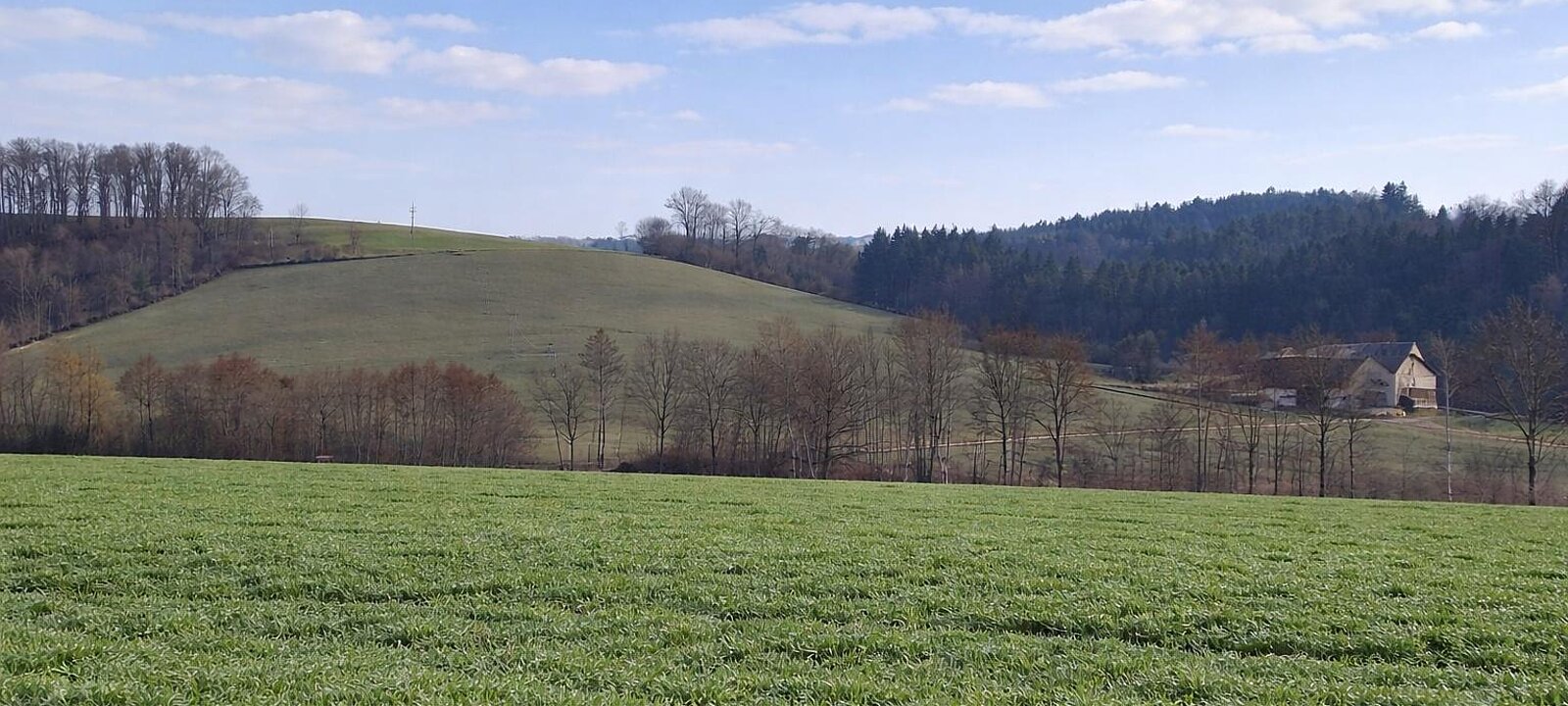 landw. Grundstück (1) landw. Grundstück (1)