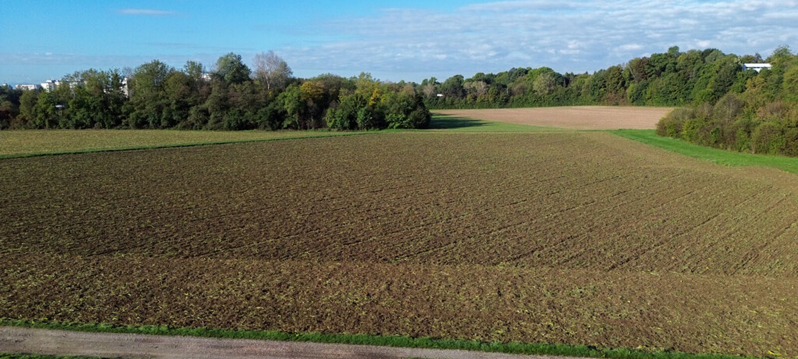 DJI_0540 DJI_0540