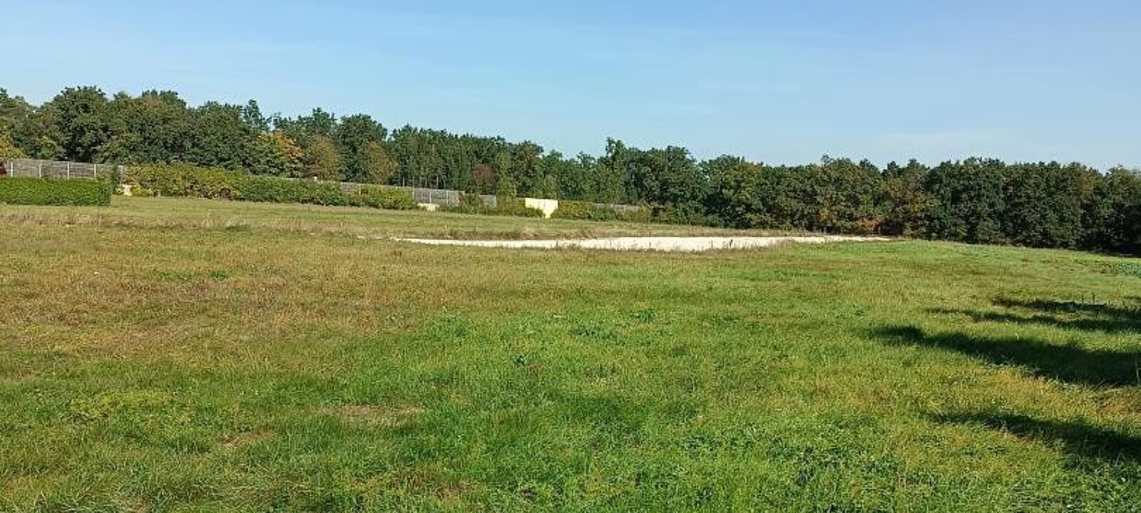 IMG_20231011_135212 IMG_20231011_135212