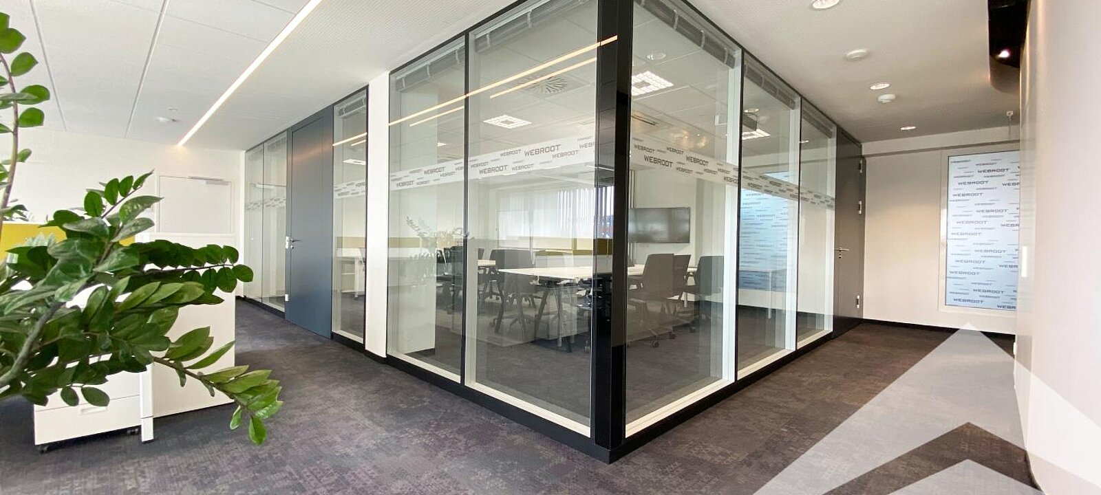 Impressionen Impressionen