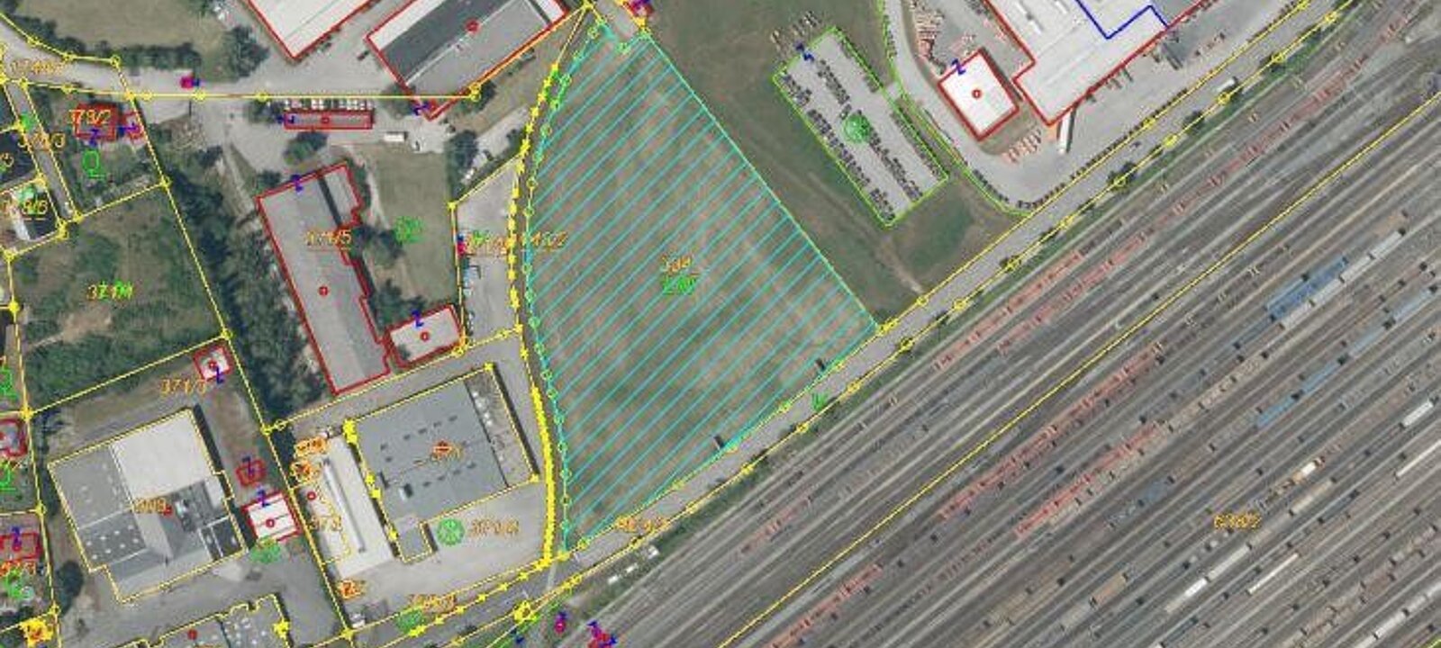 Ortho, Gesamtfläche Ortho, Gesamtfläche