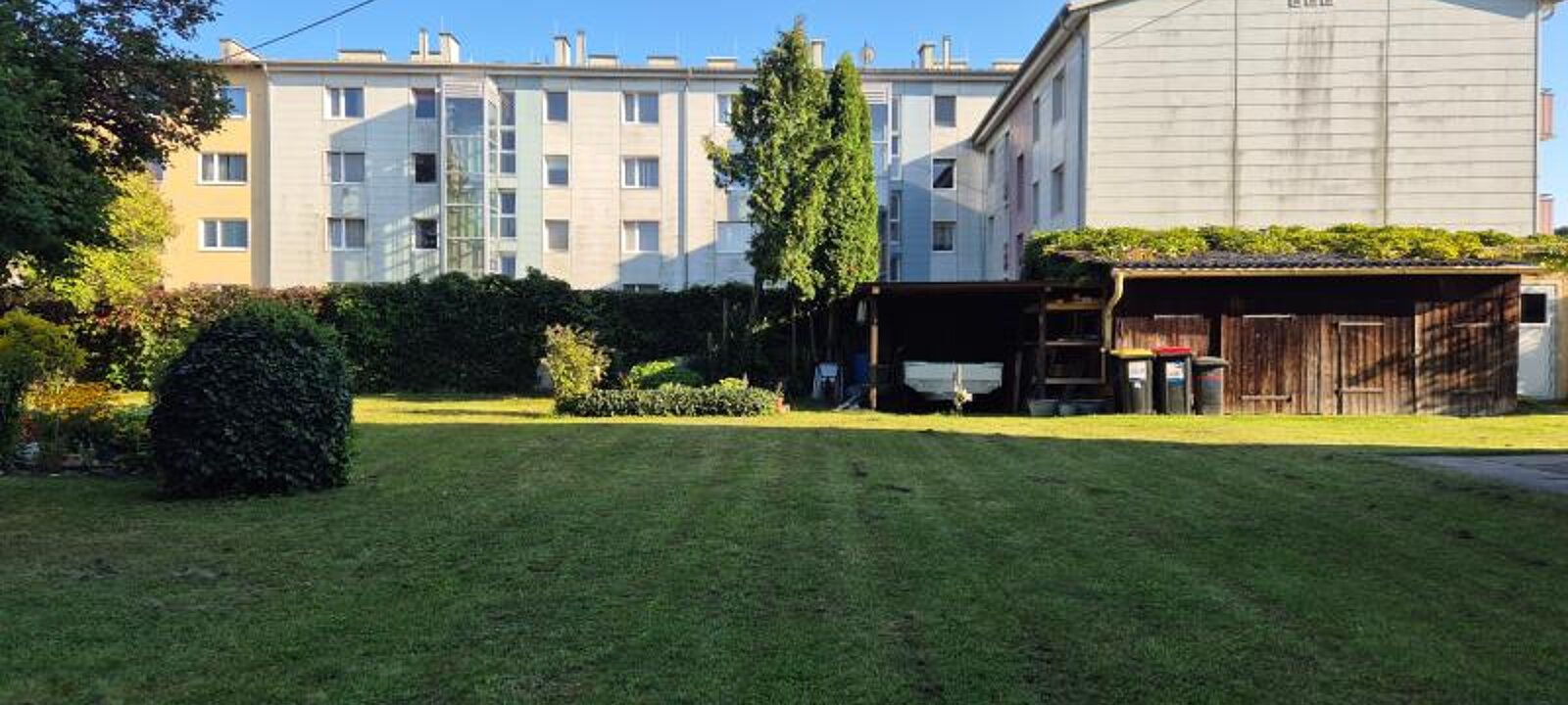 20250812_180335.jpg 20250812_180335.jpg